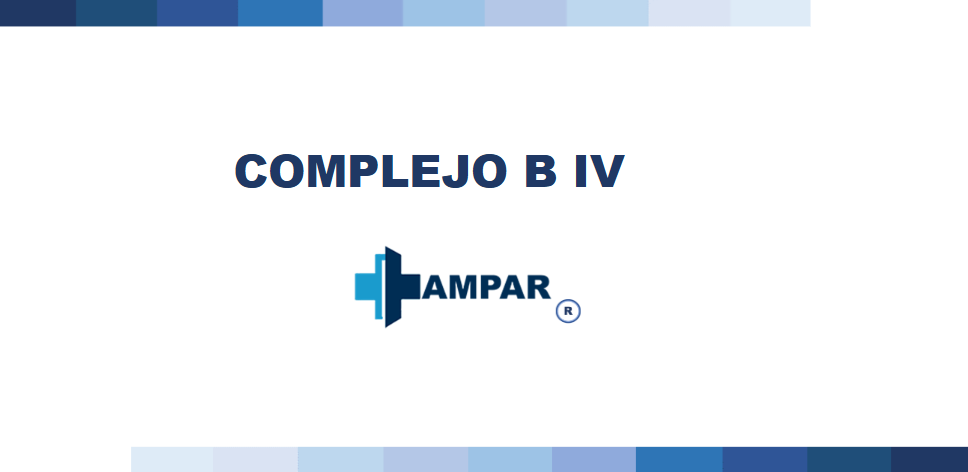 Complejo B IV